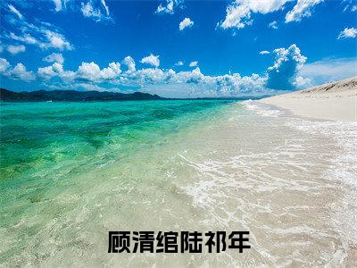 顾清绾陆祁年完结版小说顾清绾陆祁年全文在线免费阅读_顾清绾陆祁年最新章节列表_笔趣阁