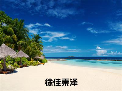 徐佳秦泽(秦泽徐佳)小说全文免费阅读-秦泽徐佳小说最新章节完整版