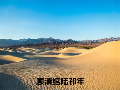 顾清绾陆祁年小说顾清绾陆祁年完整版全文在线赏析-小说顾清绾陆祁年全文大结局已完结