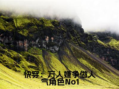 快穿:万人嫌争做人气角色No1(时雾清)全文免费阅读_快穿:万人嫌争做人气角色No1(时雾清)最新章节小说免费阅读