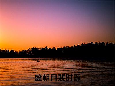 盛朝月裴时琛(盛朝月裴时琛)全文免费阅读无弹窗大结局_盛朝月裴时琛免费阅读无弹窗最新章节列表
