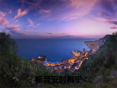 靳羿安时苒宁(时苒宁靳羿安)全文免费阅读最新章节_靳羿安时苒宁大结局精彩阅读_笔趣阁(时苒宁靳羿安)