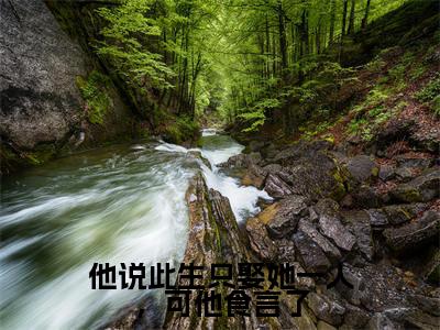 他说此生只娶她一人,可他食言了最新章节(徐晚凝陈靖廷)全文免费阅读无弹窗大结局_徐晚凝陈靖廷免费阅读