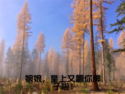 娘娘,皇上又翻你牌子啦!全文免费在线阅读_(夏宝筝全文免费阅读无弹窗大结局)娘娘,皇上又翻你牌子啦!最新章节列表笔趣阁