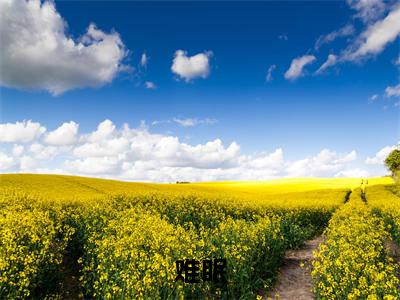 苏羡好傅言霄(难眠)全文免费阅读无弹窗大结局_难眠_笔趣阁