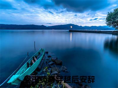 卷王药尊穿越后安辞（安辞）全文免费阅读无弹窗-（卷王药尊穿越后安辞）安辞小说全文在线赏析