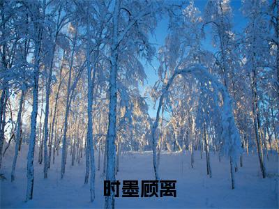 顾离时墨（时墨顾离）全文免费读无弹窗大结局_顾离时墨免费顾离时墨读无弹窗最新章节列表_笔趣阁