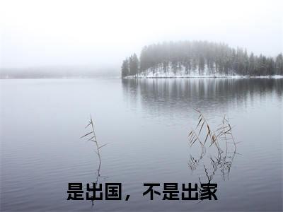 芦苇孟长津(是出国,不是出家)全文免费阅读无弹窗大结局_芦苇孟长津说免费阅读最新章节列表