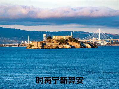 (时苒宁靳羿安)在线阅读-主角是(时苒宁靳羿安)的小说时苒宁靳羿安全文赏析最新章节列表_笔趣阁