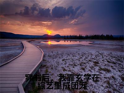 穿书后,我靠玄学在综艺里成团宠结局_(荣令琬)穿书后,我靠玄学在综艺里成团宠最新章节列表_笔趣阁