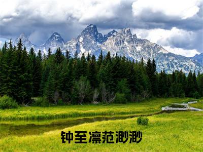 后续+免费钟至凛范渺渺(范渺渺钟至凛)全文小说在线阅读-钟至凛范渺渺全章节最新阅读