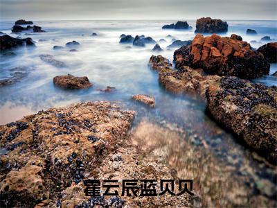 霍云辰蓝贝贝全文免费阅读无弹窗大结局_(蓝贝贝霍云辰)霍云辰蓝贝贝热门章节在线阅读笔趣阁(蓝贝贝霍云辰)