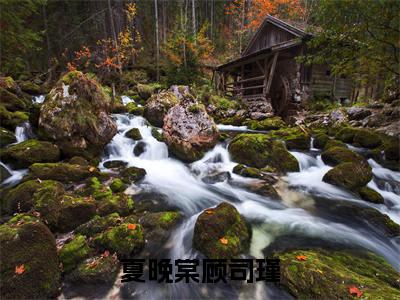 (后续)+(全文)(夏晚棠顾司瑾)夏晚棠顾司瑾精彩小说-夏晚棠顾司瑾全章节免费阅读