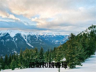 (范澈和魏睿瑶)小说全文免费阅读无弹窗大结局_魏睿瑶范澈和范澈和魏睿瑶最新章节列表笔趣阁