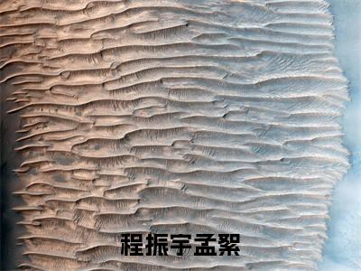 程振宇孟絮的小说全文免费阅读无弹窗,程振宇孟絮的小说在线免费阅读大结局(程振宇孟絮)