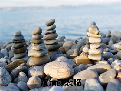 沈清颜裴临(裴临沈清颜全文在线阅读)-沈清颜裴临(裴临沈清颜)免费阅读无删减大结局