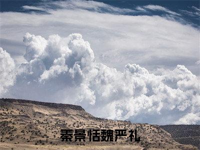 秦景恬魏严礼全文免费在线阅读_(魏严礼秦景恬全文免费阅读无弹窗大结局)秦景恬魏严礼最新章节列表_笔趣阁