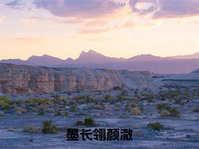 墨长翎颜澈(颜澈墨长翎)全文免费阅读-墨长翎颜澈(颜澈墨长翎)全章节完整版在线阅读