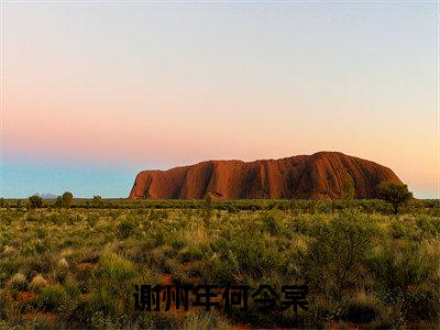 何今棠谢州年(谢州年何今棠)全文免费阅读无弹窗大结局_何今棠谢州年谢州年何今棠最新章节列表_笔趣阁