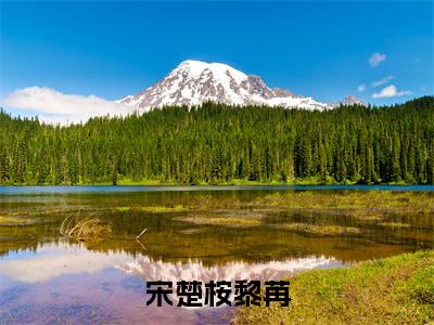 主角叫黎苒宋楚桉的小说-(宋楚桉黎苒)黎苒宋楚桉全文无弹窗完整版阅读