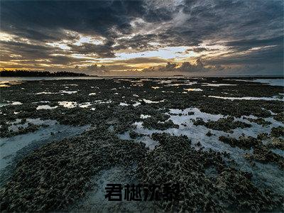 君樾沈黎(沈黎君樾)全文免费阅读-(沈黎君樾小说)君樾沈黎最新章节列表