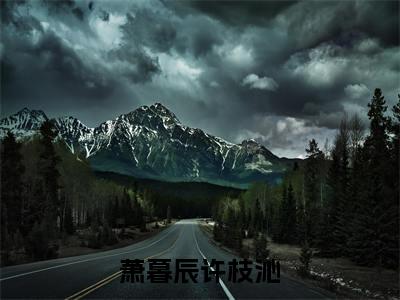 萧暮辰许枝沁(许枝沁萧暮辰)新上热文小说全文免费阅读-小说(许枝沁萧暮辰)完整版阅读