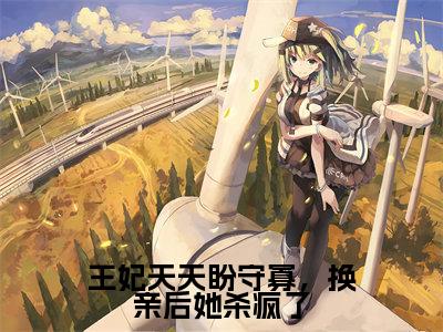 楚寒渊沈幽月小说全文-王妃天天盼守寡,换亲后她杀疯了小说免费阅读大结局
