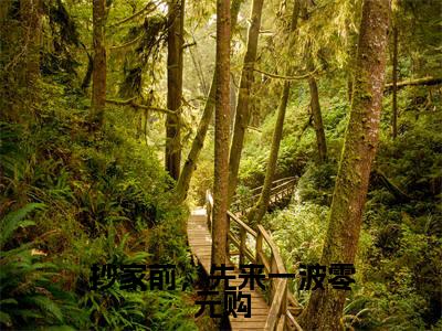 (抄家前,先来一波零元购小说免费阅读)沈向晚全文免费阅读无弹窗大结局-抄家前,先来一波零元购全文免费版阅读