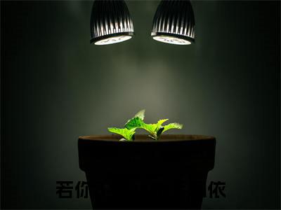 若你不弃,执手相依(秦所依傅羽修)全文免费阅读无弹窗完整版,(若你不弃,执手相依)免费阅读全文最新章节列表_笔趣阁