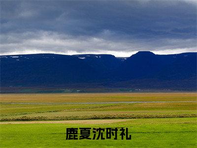 （鹿夏沈时礼）完整版小说阅读，鹿夏沈时礼小说精彩免费试读