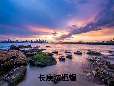 (沈迟烟长庚)热门美文阅读_热门小说长庚沈迟烟主人公是(沈迟烟长庚)最新章节限时观看_笔趣阁