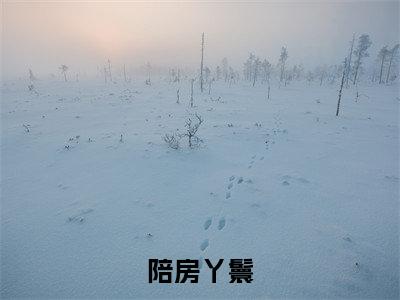 戚云湘陆钧山(陪房丫鬟全文免费阅读)_戚云湘陆钧山小说最新章节免费阅读