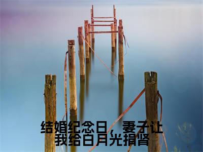 结婚纪念日,妻子让我给白月光捐肾在线阅读(叶飞小说)全文免费阅读无弹窗大结局_结婚纪念日,妻子让我给白月光捐肾免费最新章节列表