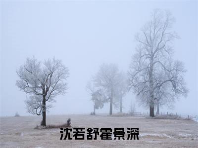 沈若舒霍景深全文免费阅读_沈若舒霍景深(霍景深沈若舒免费阅读无弹窗)霍景深沈若舒最新章节列表笔趣阁