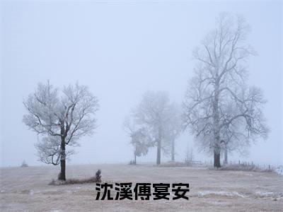 沈溪傅宴安(沈溪傅宴安)全文小说-沈溪傅宴安小说最新章节免费阅读