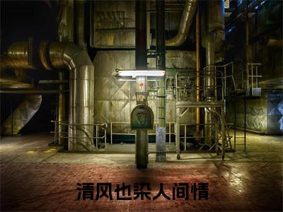 清风也染人间情(叶晚柒贺君城)全文免费阅读无弹窗大结局_清风也染人间情最新章节列表_笔趣阁(叶晚柒贺君城)