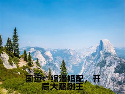 国运:综漫婚配,开局大慈树王(久楷佰)小说全文免费阅读_国运:综漫婚配,开局大慈树王最新章节小说免费阅读_笔趣阁久楷佰