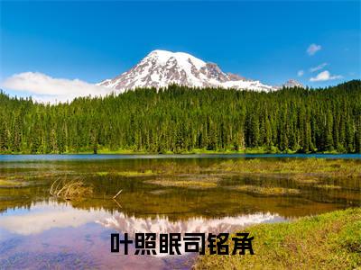 叶照眠司铭承(叶照眠司铭承)全文免费阅读无弹窗大结局_叶照眠司铭承免费阅读无弹窗最新章节列表