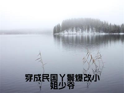 穿成民国丫鬟爆改小姐少爷小说(仲夏)全文完整版免费阅读-仲夏全文完整版免费阅读(仲夏)