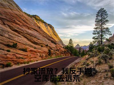 阮云笙小说(抄家流放?我反手搬空库房去逃荒已完结小说全集完整版大结局)抄家流放?我反手搬空库房去逃荒小说全文阅读笔趣阁