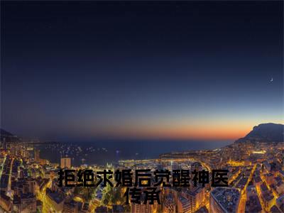 拒绝求婚后觉醒神医传承沈牧全文完整版-沈牧小说在线阅读
