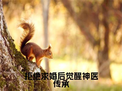 拒绝求婚后觉醒神医传承(沈牧)免费全文阅读小说_(拒绝求婚后觉醒神医传承)沈牧最新章节列表-笔趣阁