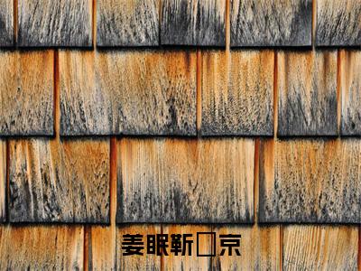 姜眠靳玨京是什么小说-(姜眠靳玨京)姜眠靳玨京无弹窗免费阅读大结局最新章节列表_笔趣阁