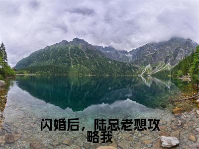 小说(闪婚后,陆总老想攻略我)沈溪和陆安时全文免费阅读无弹窗-沈溪和陆安时小说全文在线赏析(今日更新最新章节)