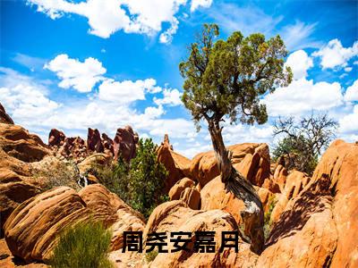 小说(周尧安嘉月)周尧安嘉月精选片段阅读-小说周尧安嘉月免费版最新更新阅读