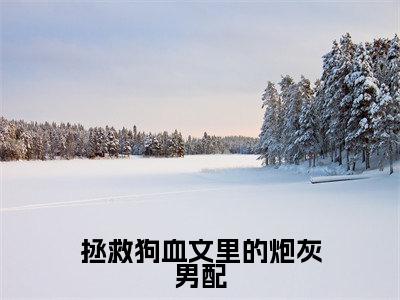 拯救狗血文里的炮灰男配(姜喜小说)全文免费阅读无弹窗大结局-姜喜小说最新章节列表_笔趣阁