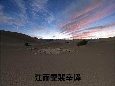江雨霏裴辛译全文免费阅读(裴辛译江雨霏免费阅读无弹窗)江雨霏裴辛译最新章节列表_笔趣阁