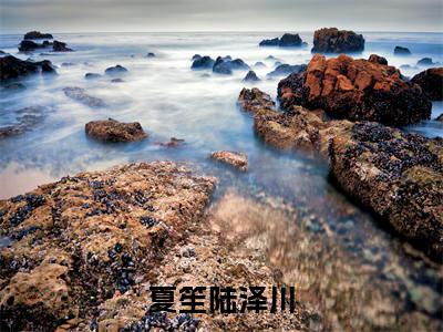 夏笙陆泽川(夏笙陆泽川)免费最新小说_夏笙陆泽川(夏笙陆泽川)免费版今日已更新