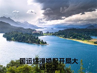 国运综漫婚配开局大慈树王(久楷佰全文在线阅读)-国运综漫婚配开局大慈树王(久楷佰)免费阅读