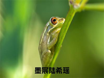 墨宸陆希瑶小说好看吗墨宸陆希瑶热门推荐小说(陆希瑶墨宸)全章节阅读_笔趣阁